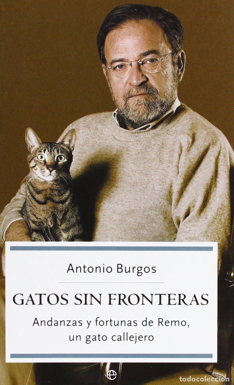 Libros de segunda mano: Gatos sin fronteras - Burgos, Antonio