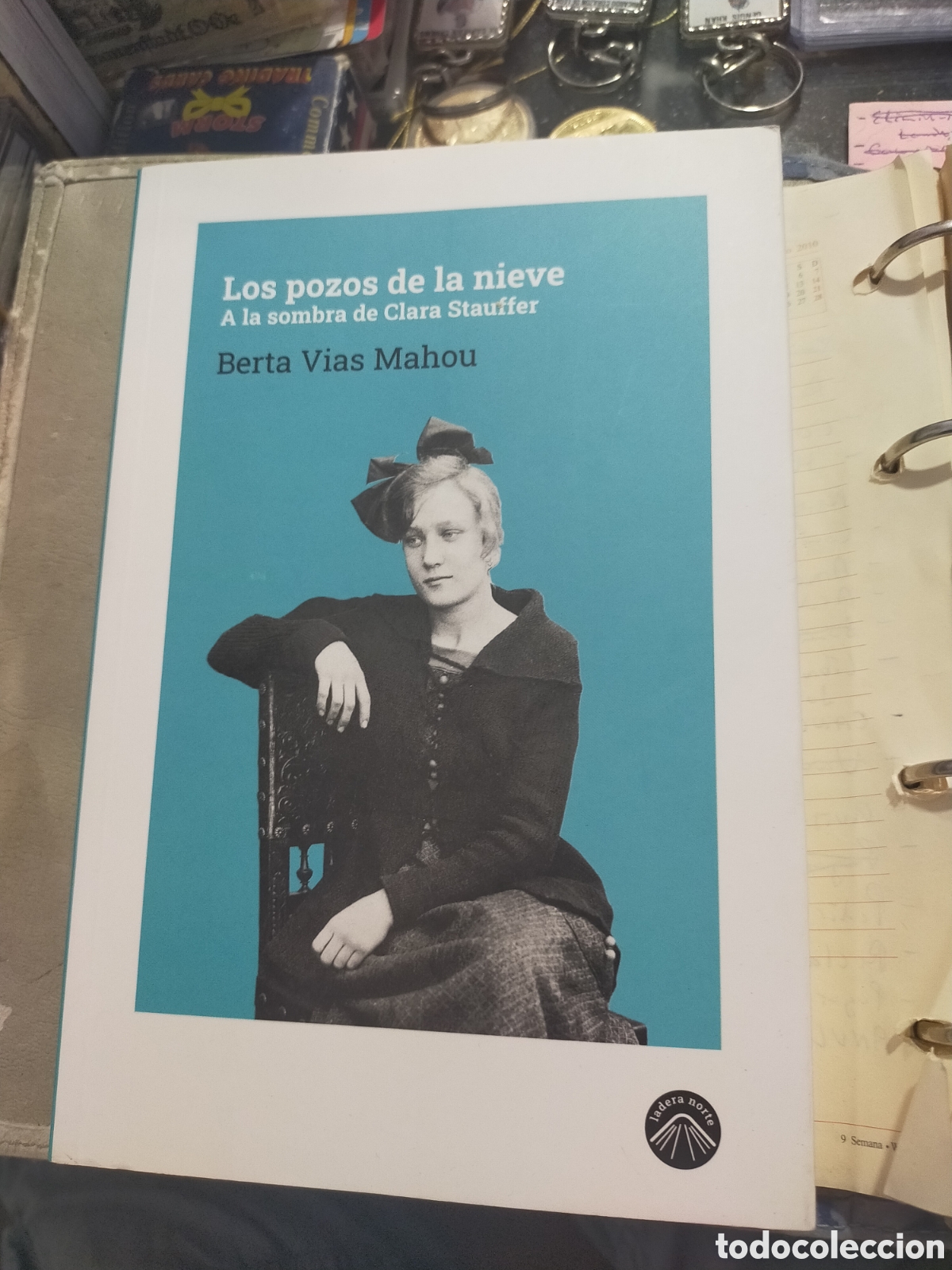 Libros de segunda mano: LOS POZOS DE LA NIEVE A LA SOMBRA DE CLARA STAUFFER BERTA VIAS MAHOU COMO NUEVO