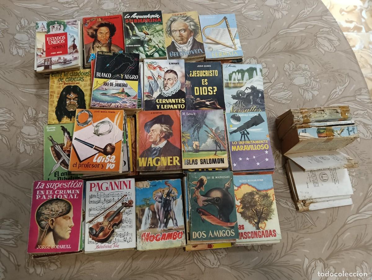 Libros de segunda mano: Gran Lote Colecci&oacute;n Pulga Bruguera - 130 Vol&uacute;menes + 11 Libritos Fatigados De Regalo