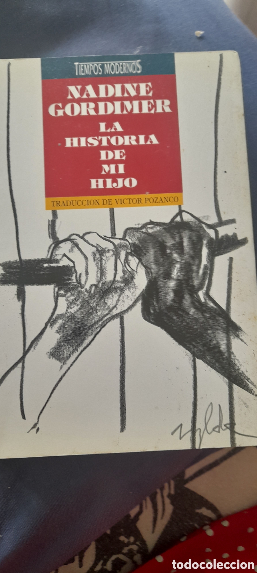 Libros de segunda mano: La historia de mi hijo. Nadie Gordimer