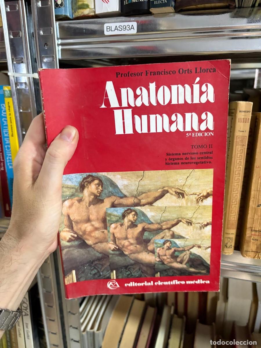 Libros de segunda mano: BLAS93A Anatom&iacute;a humana. Tomo II. 5.&ordf; edici&oacute;n. Francisco Orts Llorca. Editorial Cient&iacute;fico M&eacute;dica.