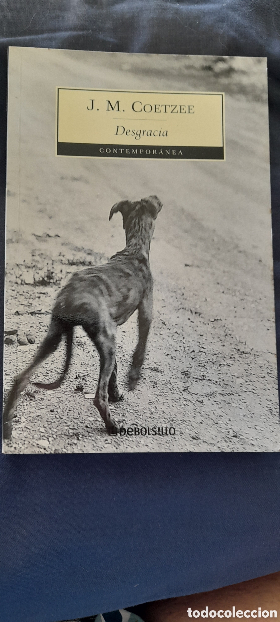 Libros de segunda mano: Desgracia. J. M. Coetzee