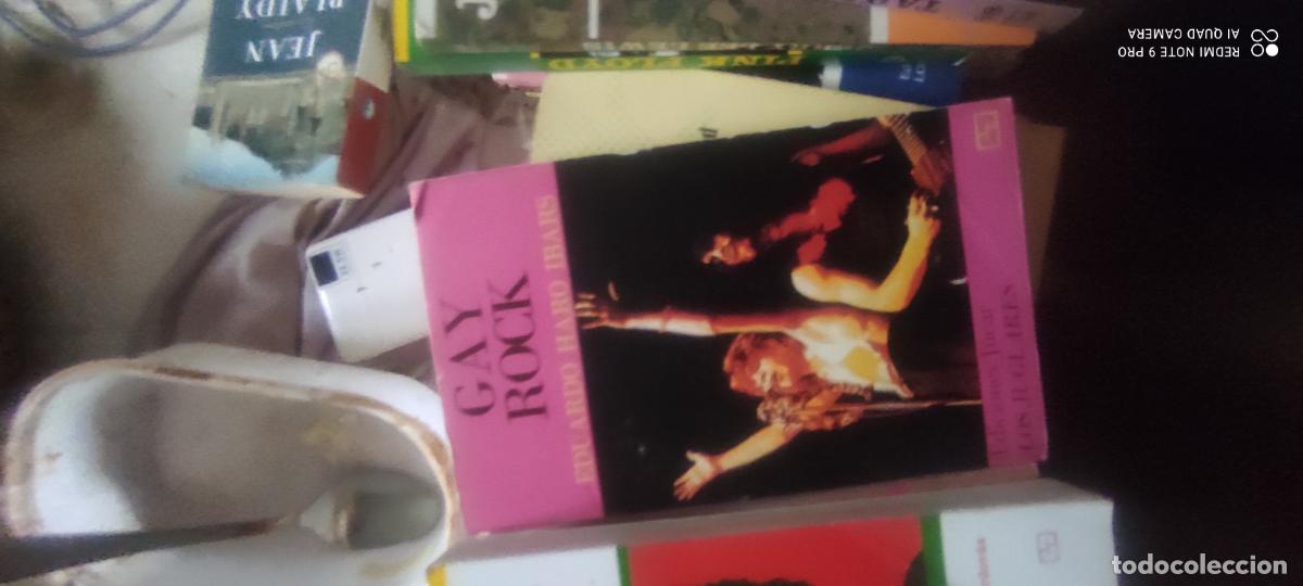 Libros de segunda mano: Gay Rock. COLECCI&Oacute;N LOS JUGLARES. EDICIONES J&Uacute;CAR 1978