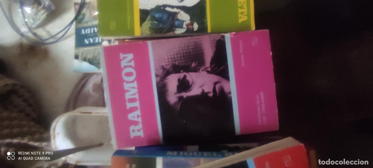 Libros de segunda mano: Raimon. COLECCI&Oacute;N LOS JUGLARES. EDICIONES J&Uacute;CAR 1978