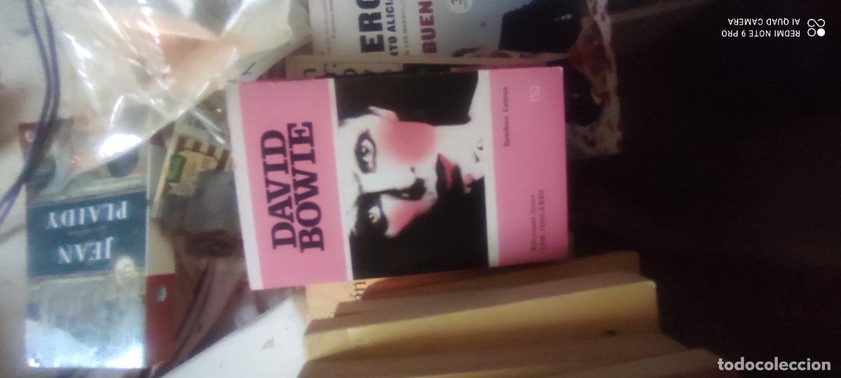 Libros de segunda mano: David Bowie. COLECCI&Oacute;N LOS JUGLARES. EDICIONES J&Uacute;CAR 1978