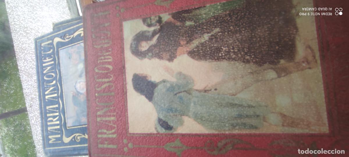 Libros de segunda mano: Goya. Tapa dura. Editorial Araluce