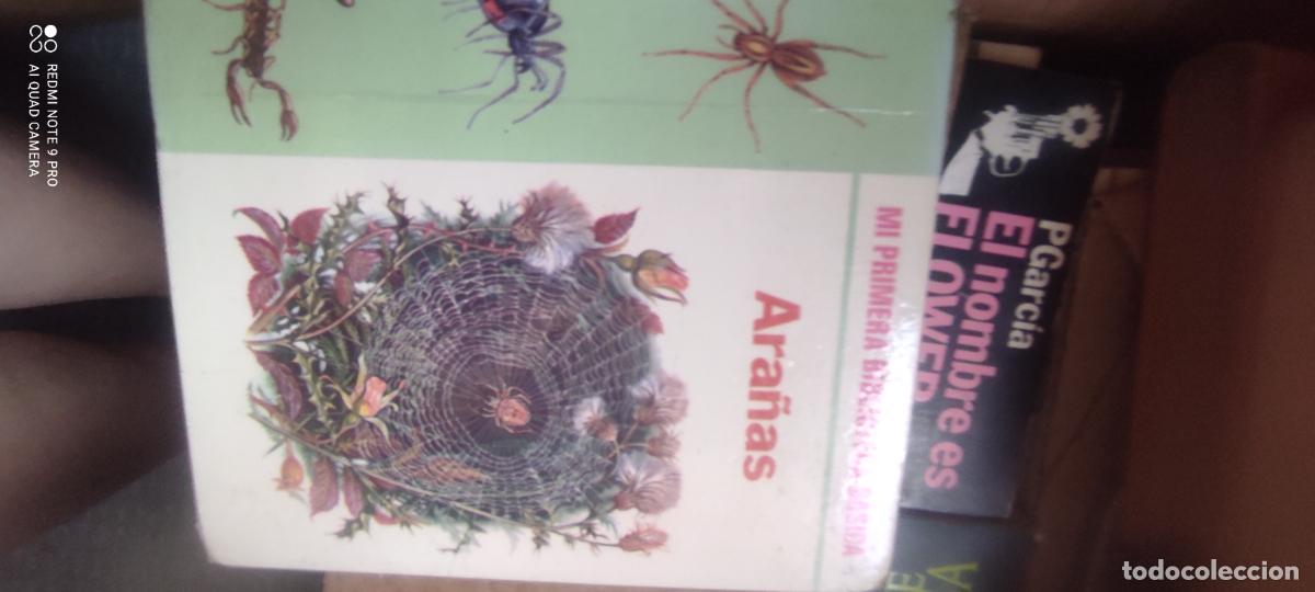 Libros de segunda mano: Ara&ntilde;as. Mi primera biblioteca basica. editorial molino. 1971