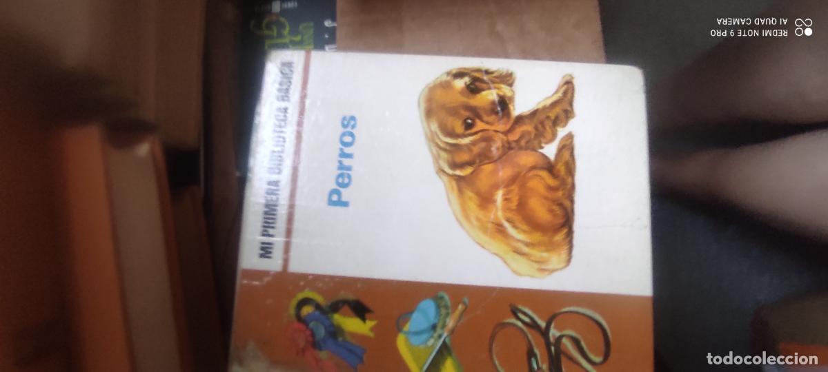 Libros de segunda mano: Perros. Mi primera biblioteca basica. editorial molino. 1971