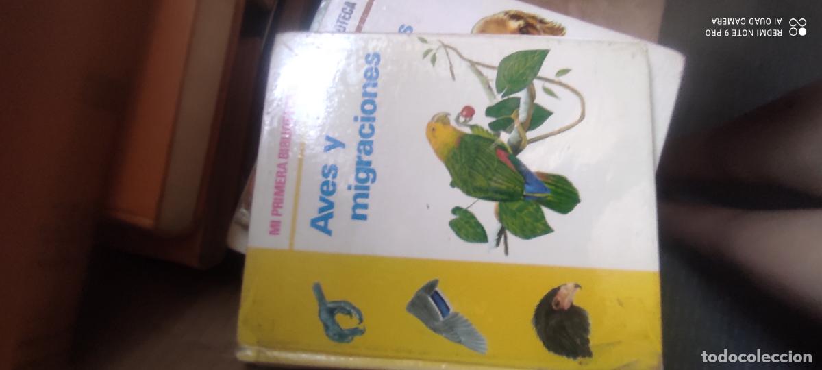 Libros de segunda mano: Aves y migraciones. Mi primera biblioteca basica. editorial molino. 1971