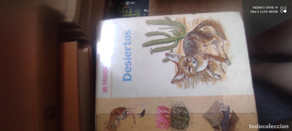 Libros de segunda mano: Desiertos. Mi primera biblioteca basica. editorial molino. 1971