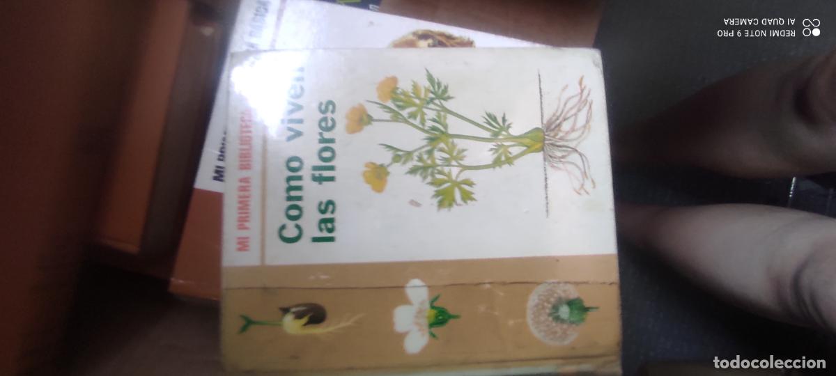 Libros de segunda mano: Como viven las flores. Mi primera biblioteca basica. editorial molino. 1971