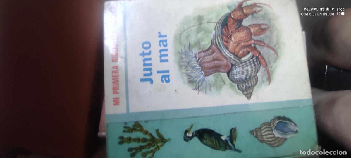 Libros de segunda mano: Junto al mar. Mi primera biblioteca basica. editorial molino. 1971