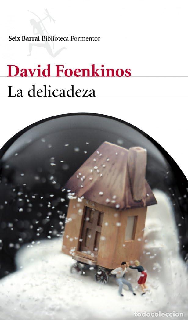 Gebrauchte B&uuml;cher: La delicadeza - Foenkinos, David