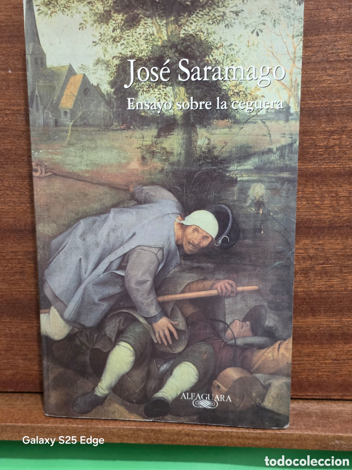 Libros de segunda mano: JOSE SARAMAGO...&rdquo;&rdquo;ENSAYO SOBRE LA CEGUERA&rdquo;&rdquo;...ALFAGUARA...1996...