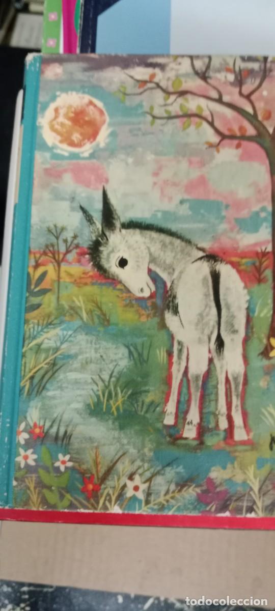 Libros de segunda mano: PLATERO Y YO JUAN RAMON JIMENEZ LIBRO M-REP