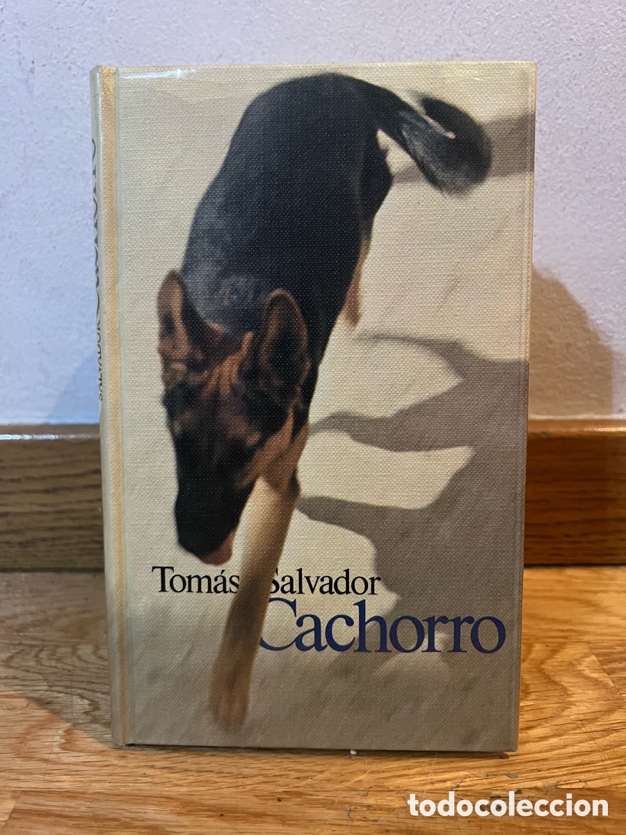 Libros de segunda mano: Tom&aacute;s salvador Cachorro