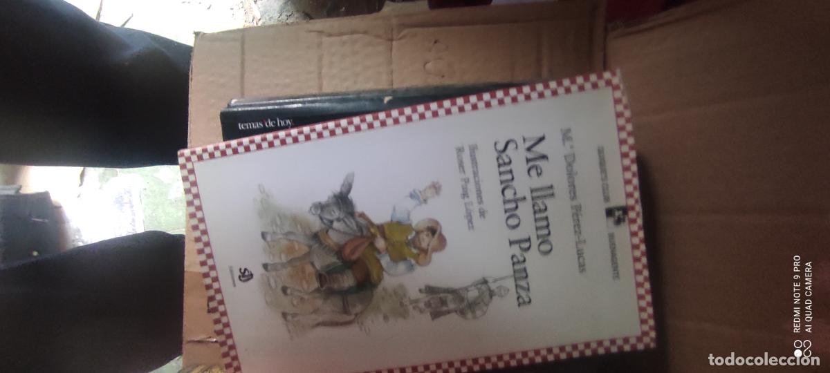 Libros de segunda mano: ME LLAMO SANCHO PANZA - M&ordf; Dolores P&eacute;rez-lucas