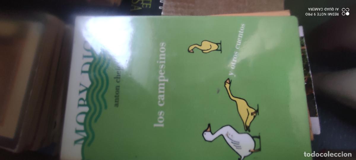 Libros de segunda mano: Los campesinos y otros cuentos. Anton Chejov. Moby Dick 1985