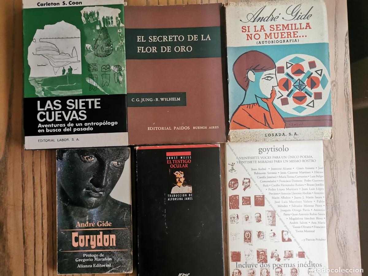 Libros de segunda mano: Lote de seis libros de distintos temas. Ver.