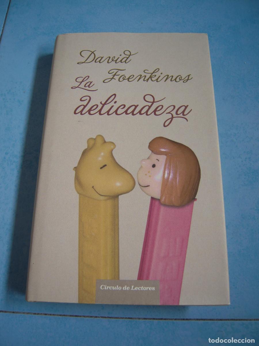 Libros de segunda mano: La delicadeza David Foenkinos