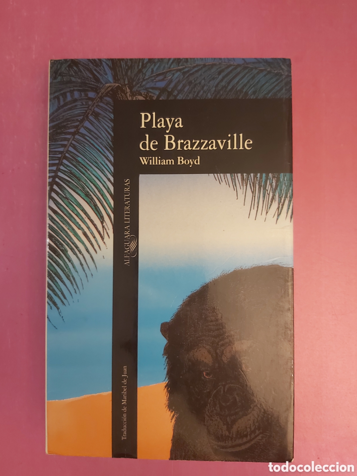 Libros de segunda mano: PLAYA DE BRAZZAVILLE WILLIAM BOYD ALFAGUARA 1991