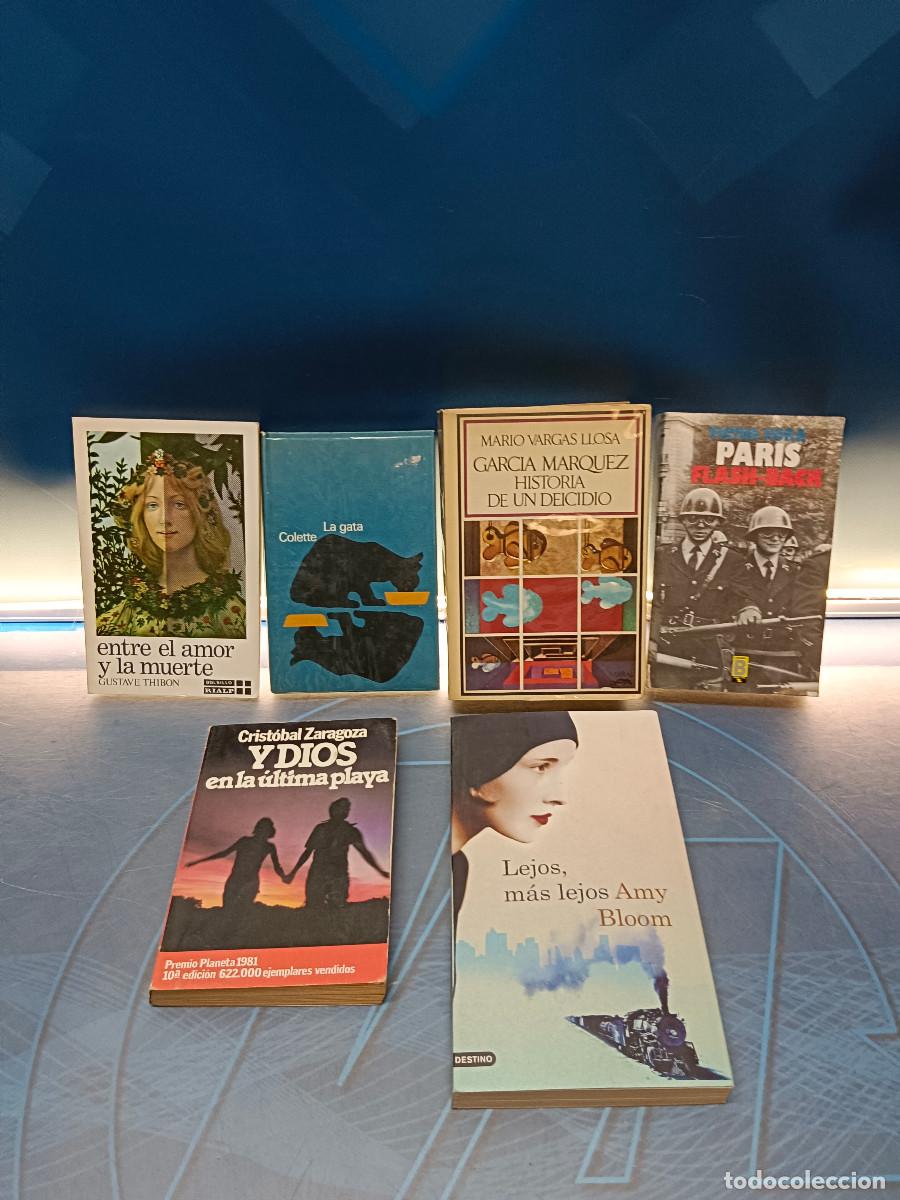 Libros de segunda mano: 6 novelas, best sellers, variados, Entre el amor y la muerte, La gata, Y dios en la ultima playa....