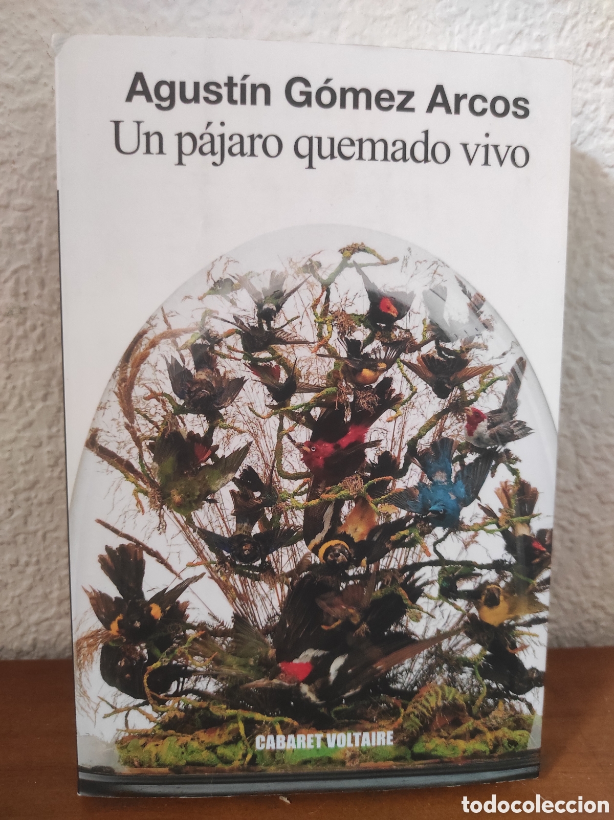 Libros de segunda mano: Un p&aacute;jaro quemado vivo.- G&oacute;mez-Arcos, Agust&iacute;n