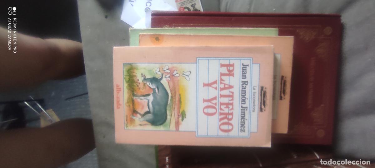 Libros de segunda mano: Platero y yo. J. R. JIm&eacute;nez