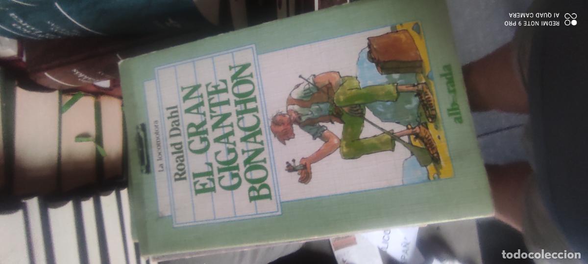 Libros de segunda mano: Dahl, el gran gigante bonach&oacute;n