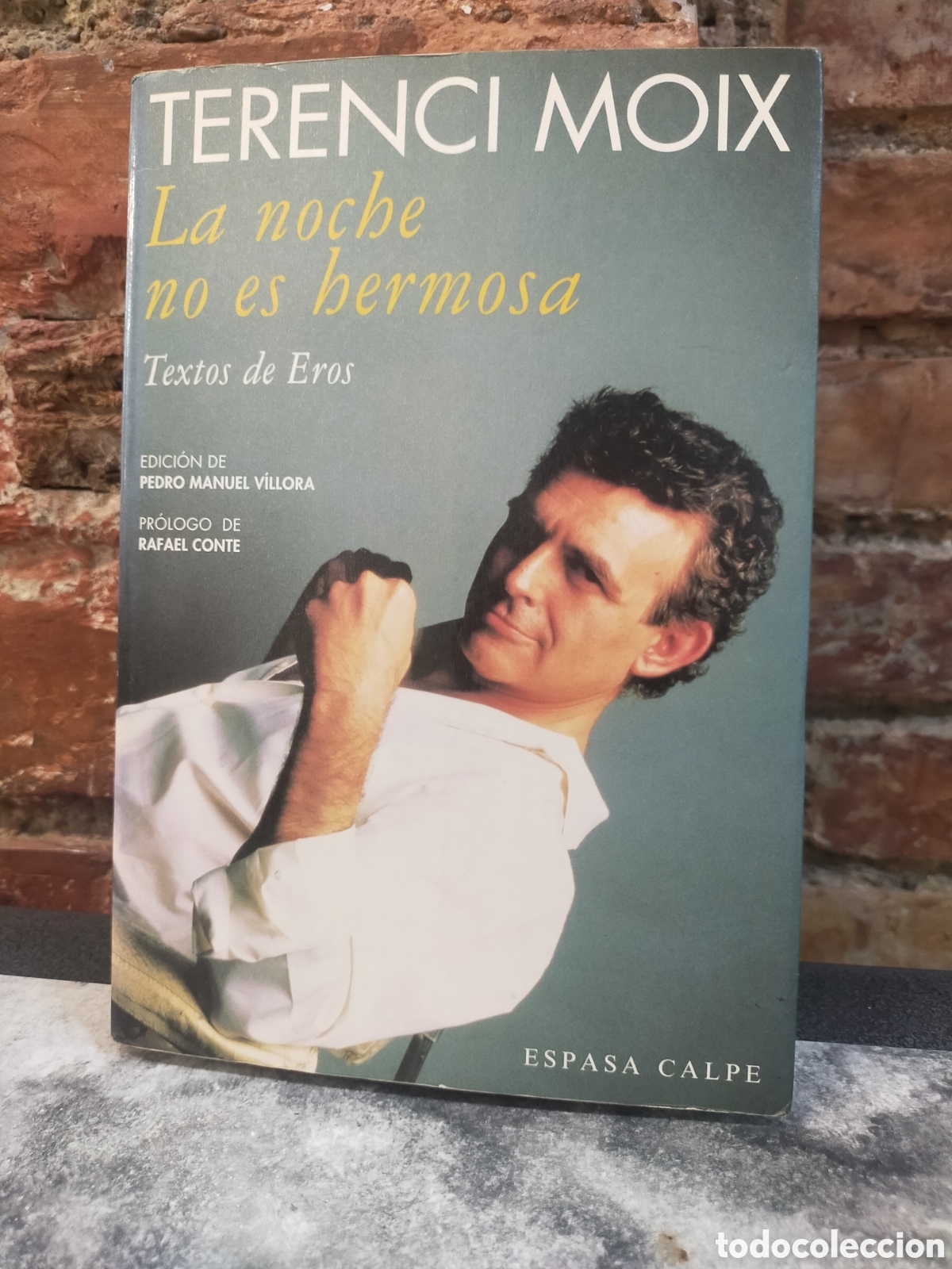 Libros de segunda mano: Libro Terenci Moix La noche no es hermosa 1994