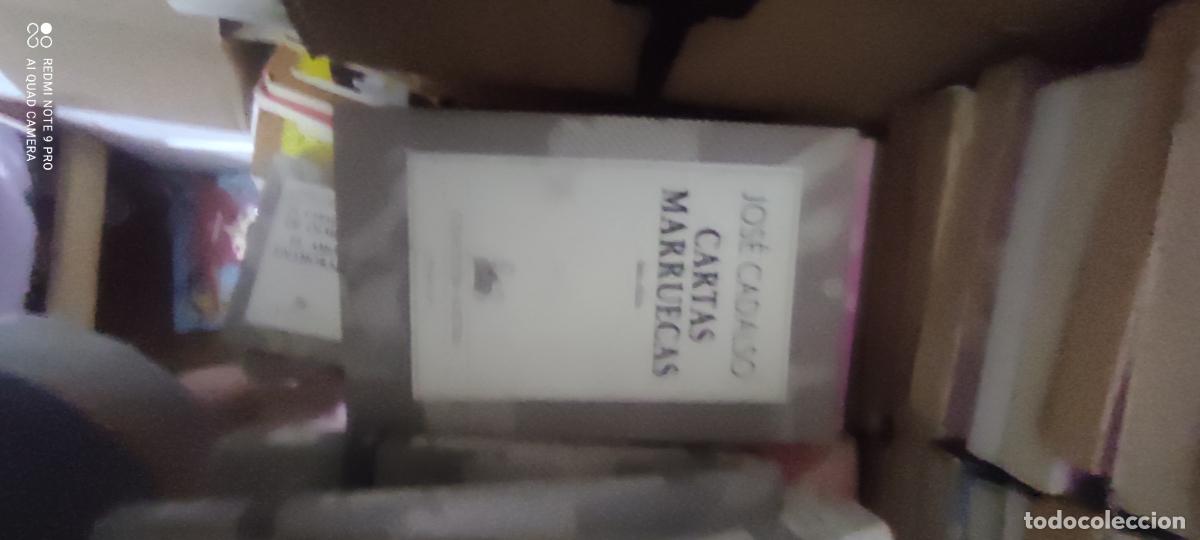Libros de segunda mano: Cadalso, Cartas Marruecas, Austral