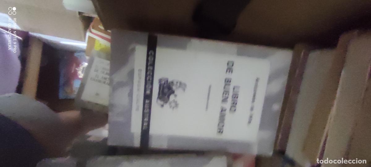 Libros de segunda mano: El libro del buen amor, austral