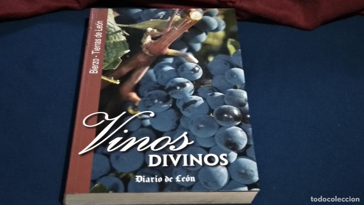 Libros de segunda mano: Vinos divinos. Bierzo / Tierra de Le&oacute;n 318 p&aacute;g. Fotograf&iacute;as en color. Enolog&iacute;a. Viticultura