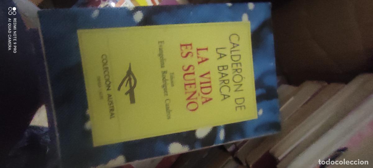 Libros de segunda mano: Calder&oacute;n. la vida es sue&ntilde;o. Austral