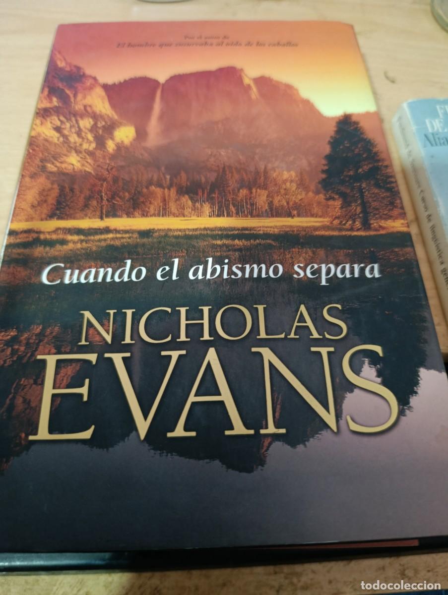 Livres d'occasion: CUANDO EL ABISMO SEPARA NICHOLA EVANS. EDICION PLAZA JANES PRIMERA EDICION. EST32B1.
