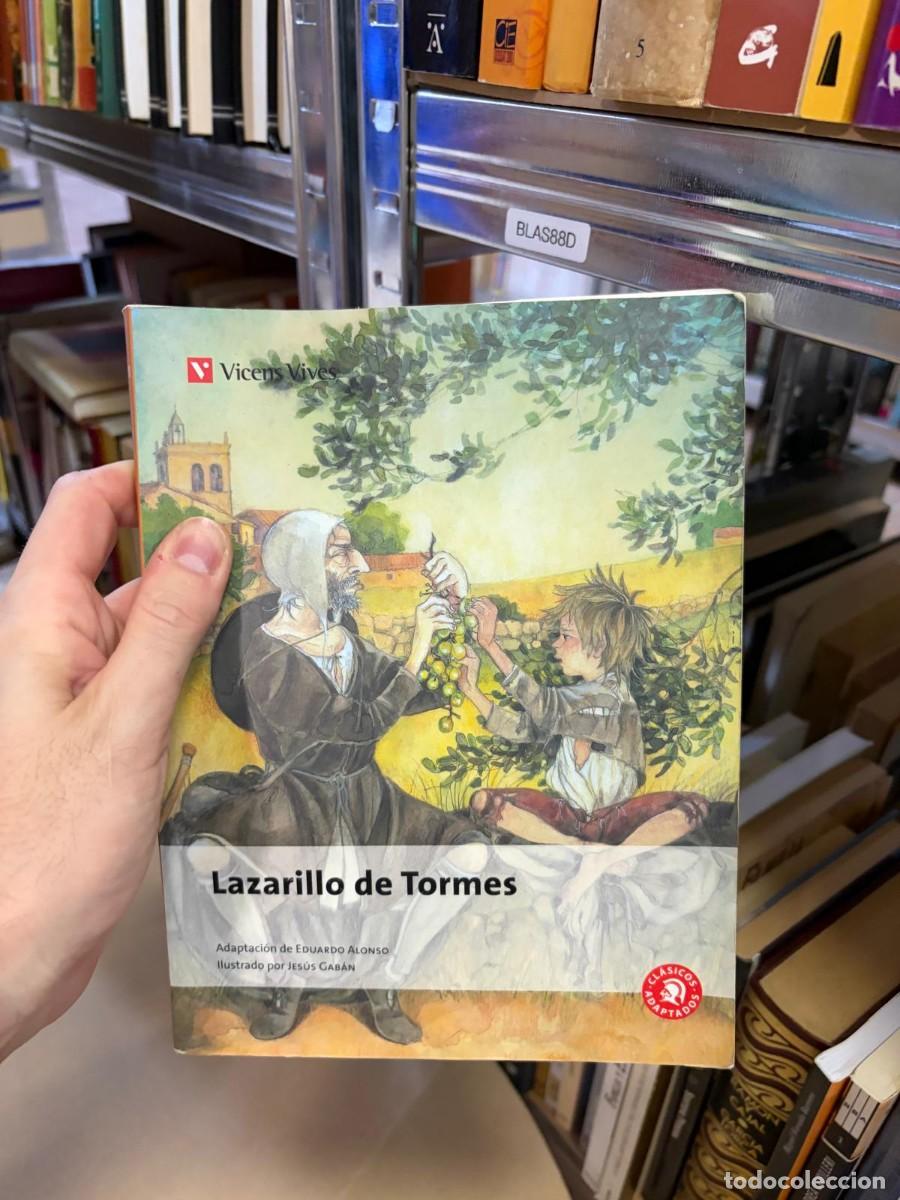 Libros de segunda mano: BLAS88D &mdash; Lazarillo de Tormes (adaptaci&oacute;n de Eduardo Alonso) &mdash; An&oacute;nimo &mdash; Vicens Vives.