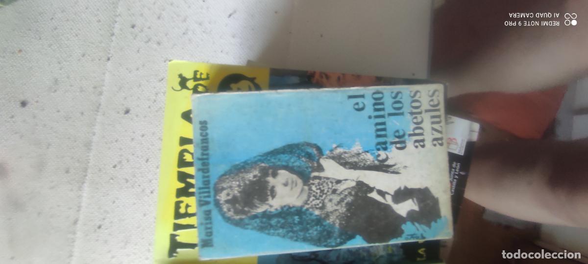 Libros de segunda mano: EL CAMINO DE LOS ABETOS AZULES - Marisa Villardefrancos
