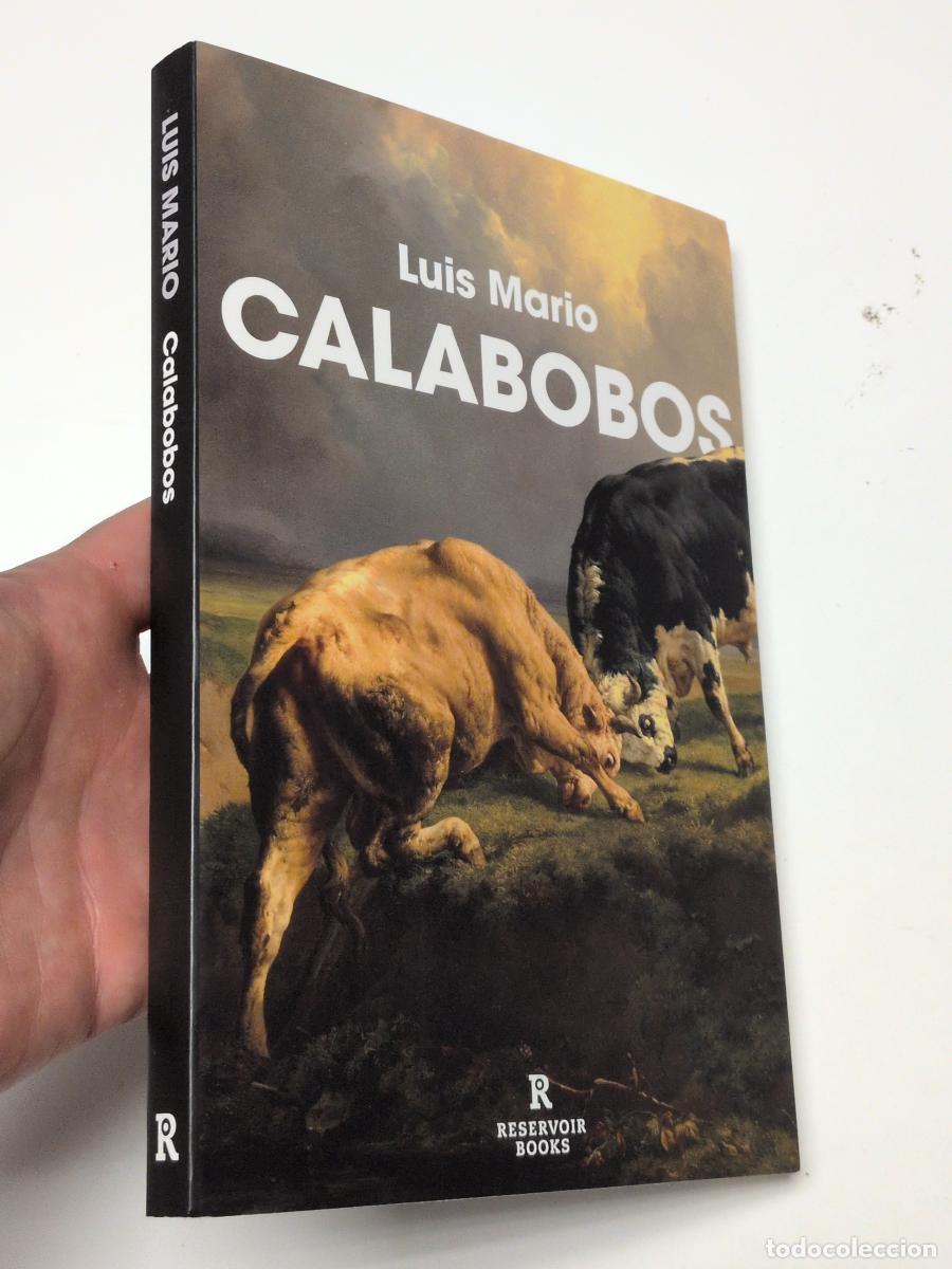Gebrauchte B&uuml;cher: Calabobos - Luis Mario