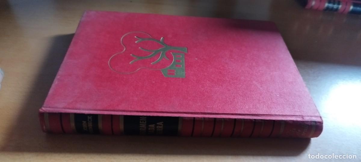 Libros de segunda mano: ATORMENTADA TIERRA / JOHN STEINBECK / CMA13 / GIGANTE CARALT / PRIMERA EDICION