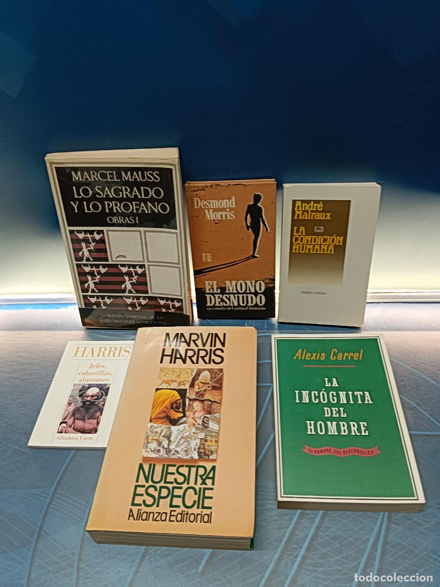 Libros de segunda mano: 6 libros, Antropolog&iacute;a, La incognita del hombre, Nuestra especie, El mono desnudo y mas