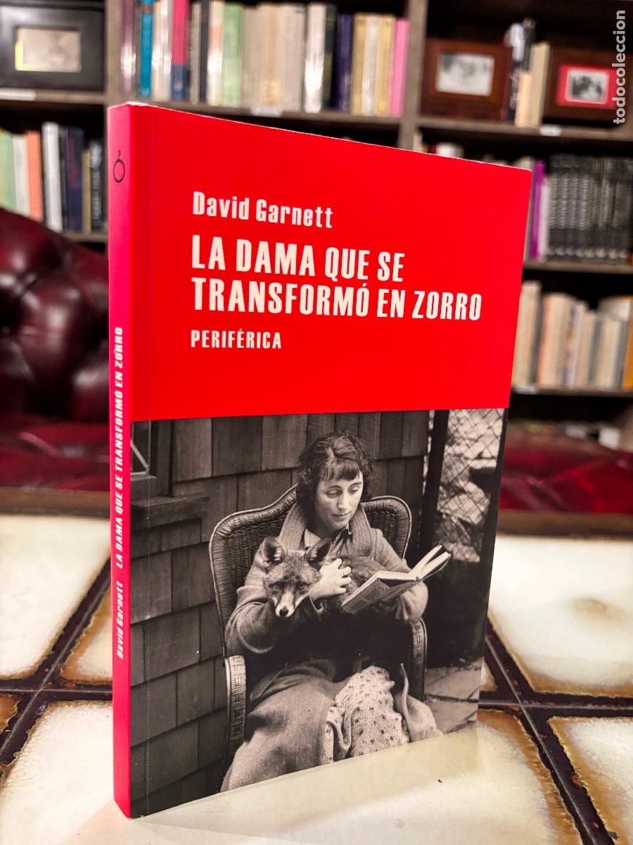 Libros de segunda mano: La dama que se transform&oacute; en zorro. David Garnett.