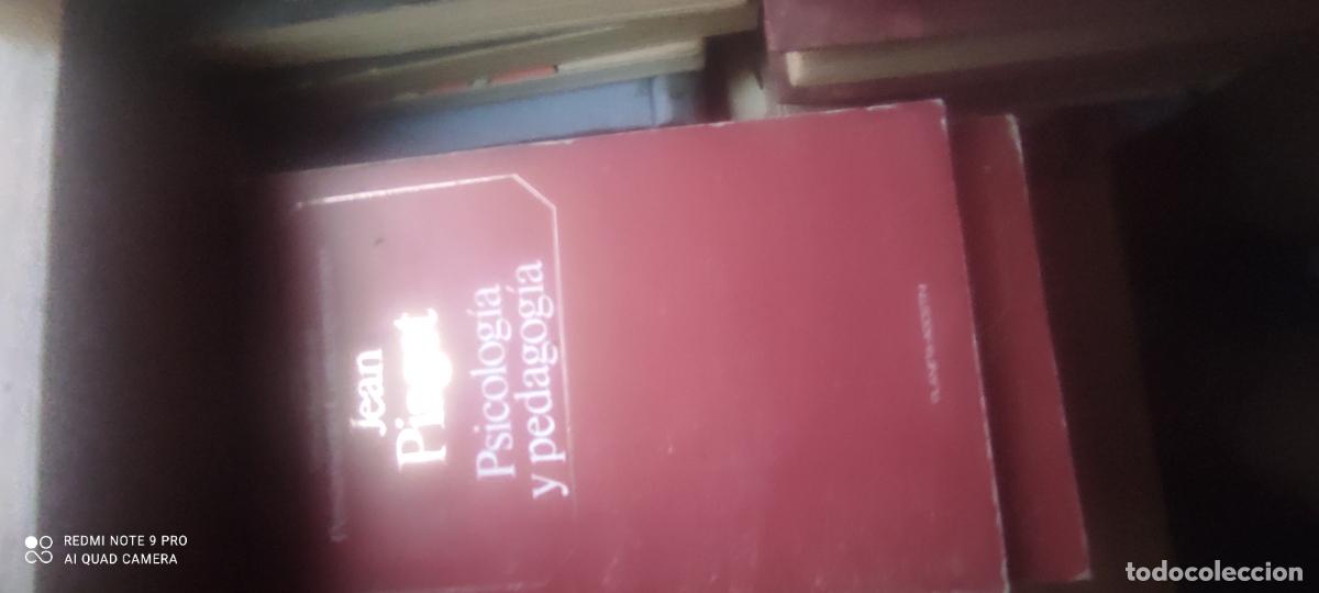 Libros de segunda mano: Obras maestras del pensamiento: Piaget. Psicolog&iacute;a y pedagog&iacute;a