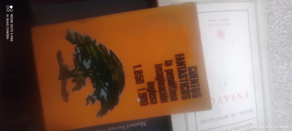 Libros de segunda mano: Cuentos fant&aacute;sticos: la pen&uacute;ltima imaginaci&oacute;n inglesa 1850-1900