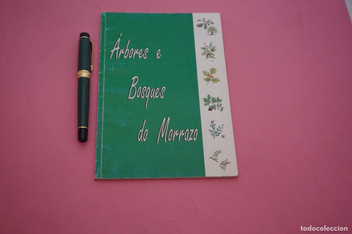 Libros de segunda mano: AMF-15H/ ARBORES E BOSQUES DO MORRAZO - JUAN A. TOME CRUZ.... / COLECTIVO ECOLOXISTA LUITA VERDE