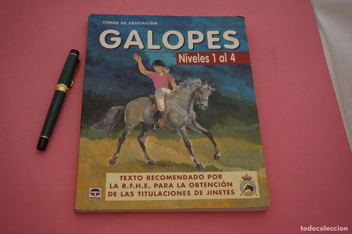 Libros de segunda mano: AMF-15H/ CURSO DE EQUITACION - GALOPES - NIVELES 1 AL 4 - TUTOR EDITOR