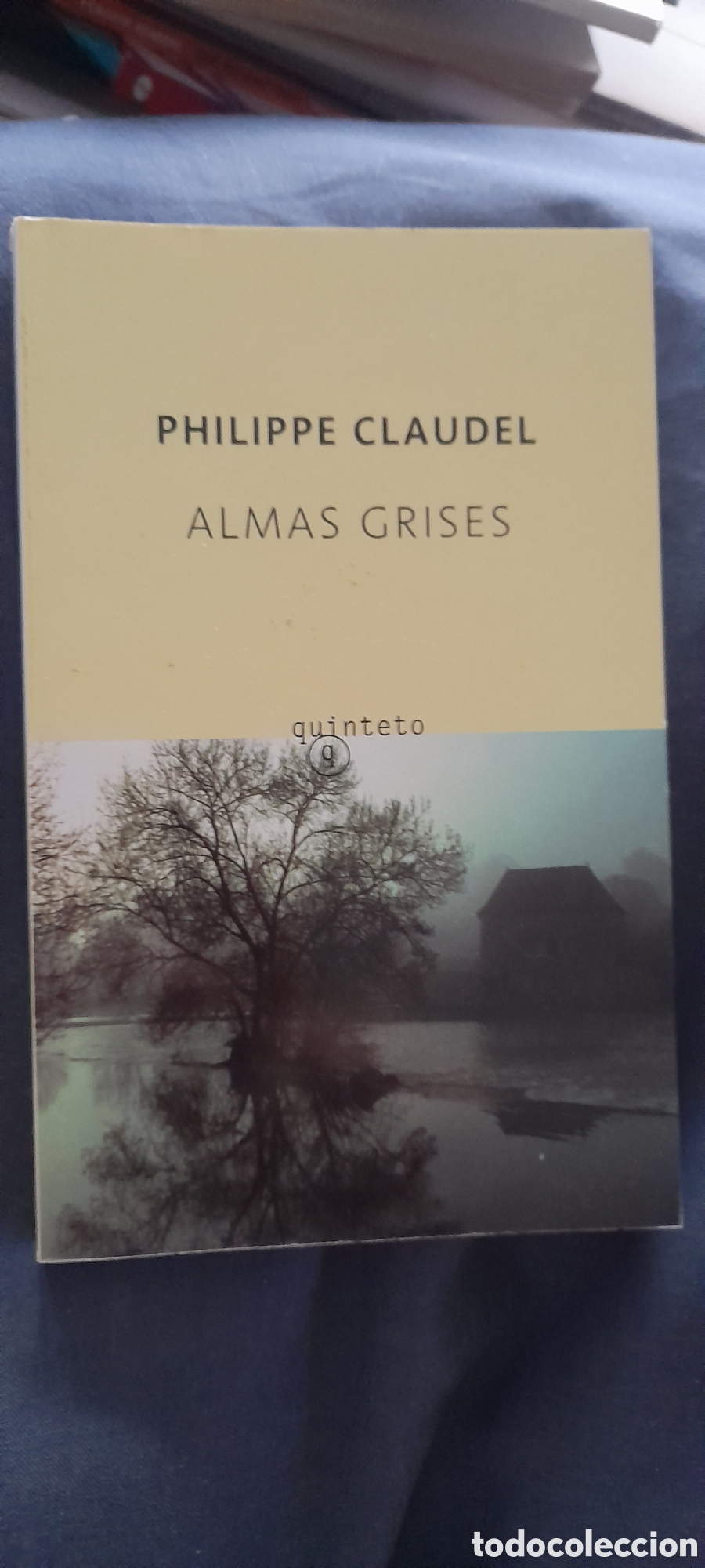 Libros de segunda mano: Almas grises. Philippe Claudel