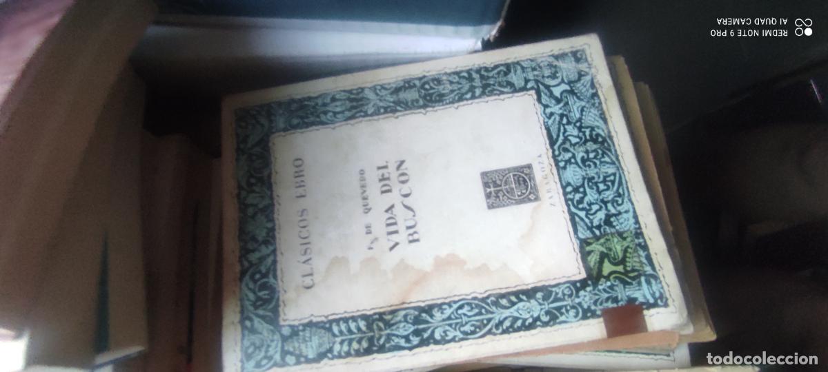 Libros de segunda mano: Cl&aacute;sicos Ebro.- La vida del Busc&oacute;n