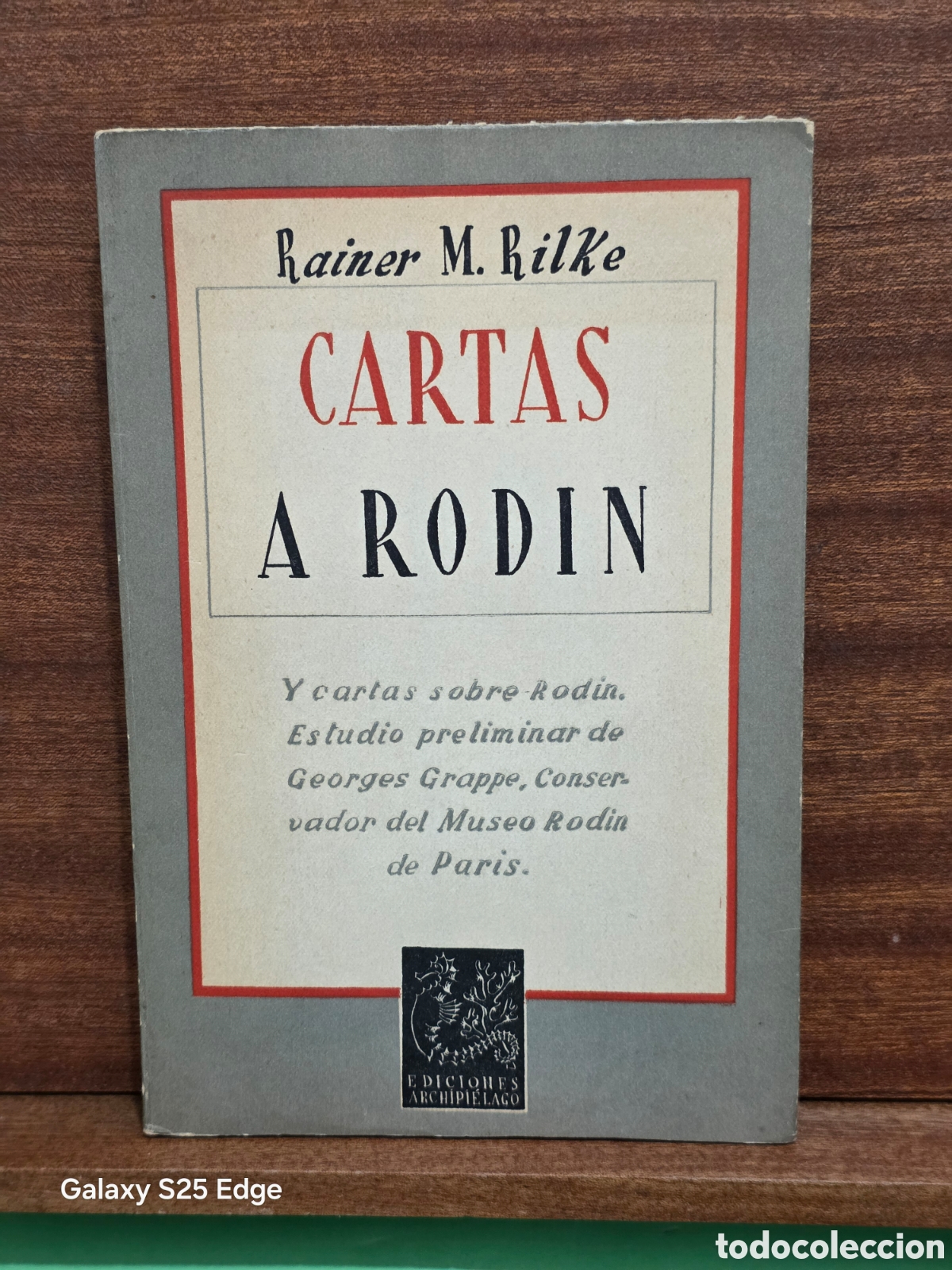 Libros de segunda mano: RAINER M. RILKE...&rdquo;&rdquo;CARTAS A RODIN&rdquo;&rdquo;...EDICIONES ARCHIPIELAGO...BUENOS AIRES...1946...