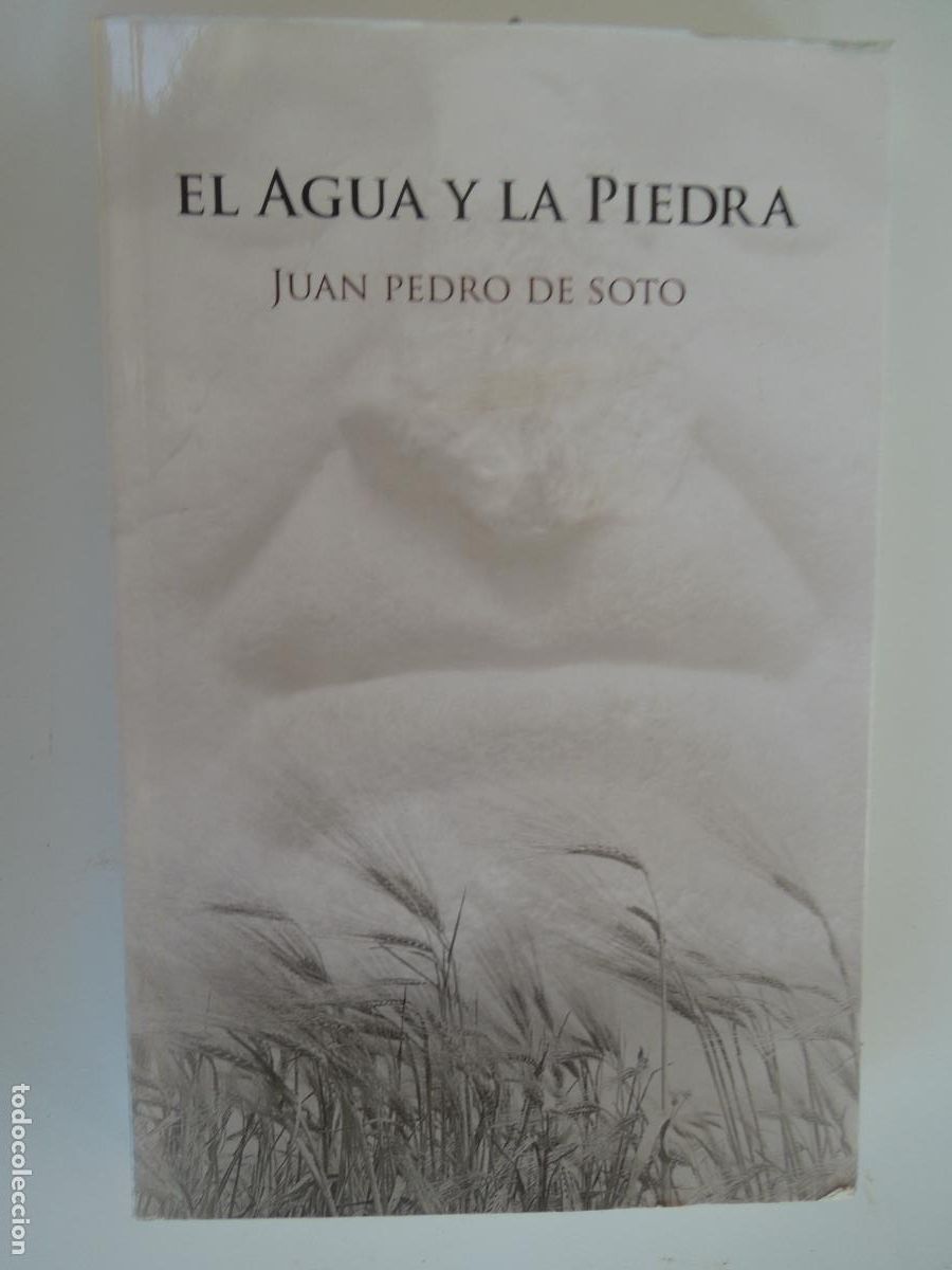 Libros de segunda mano: EL AGUA Y LA PIEDRA - JUAN PEDRO SOTO - AUTOEDICION 2014