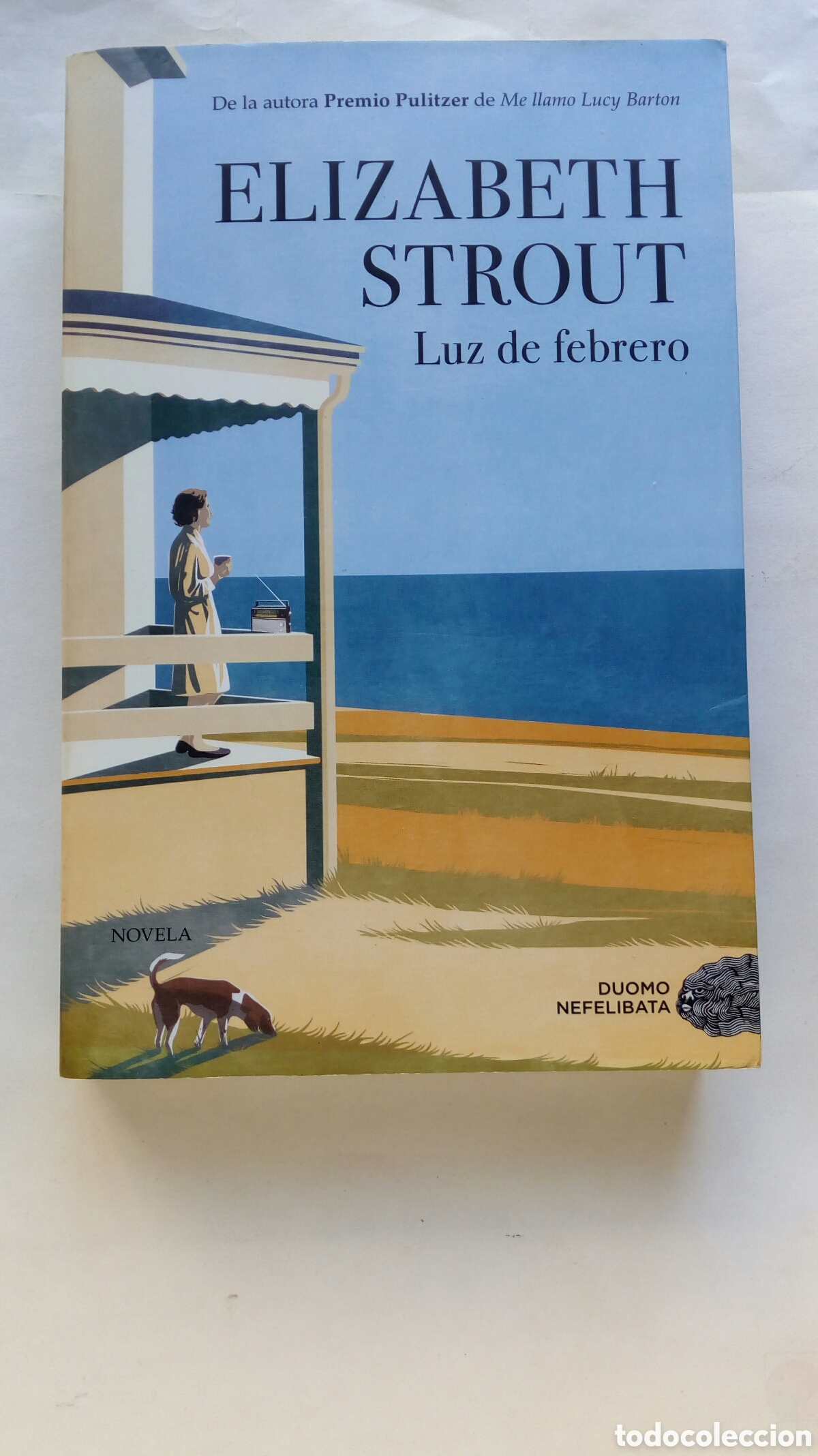 Libros de segunda mano: Luz de febrero. Elizabeth Strout.